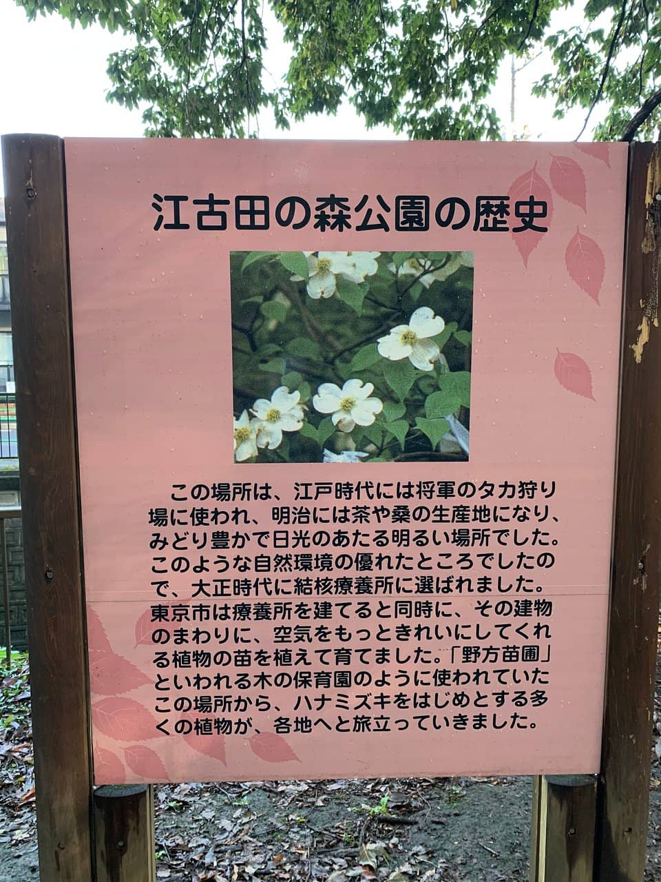 Outdoor Gym Equipment