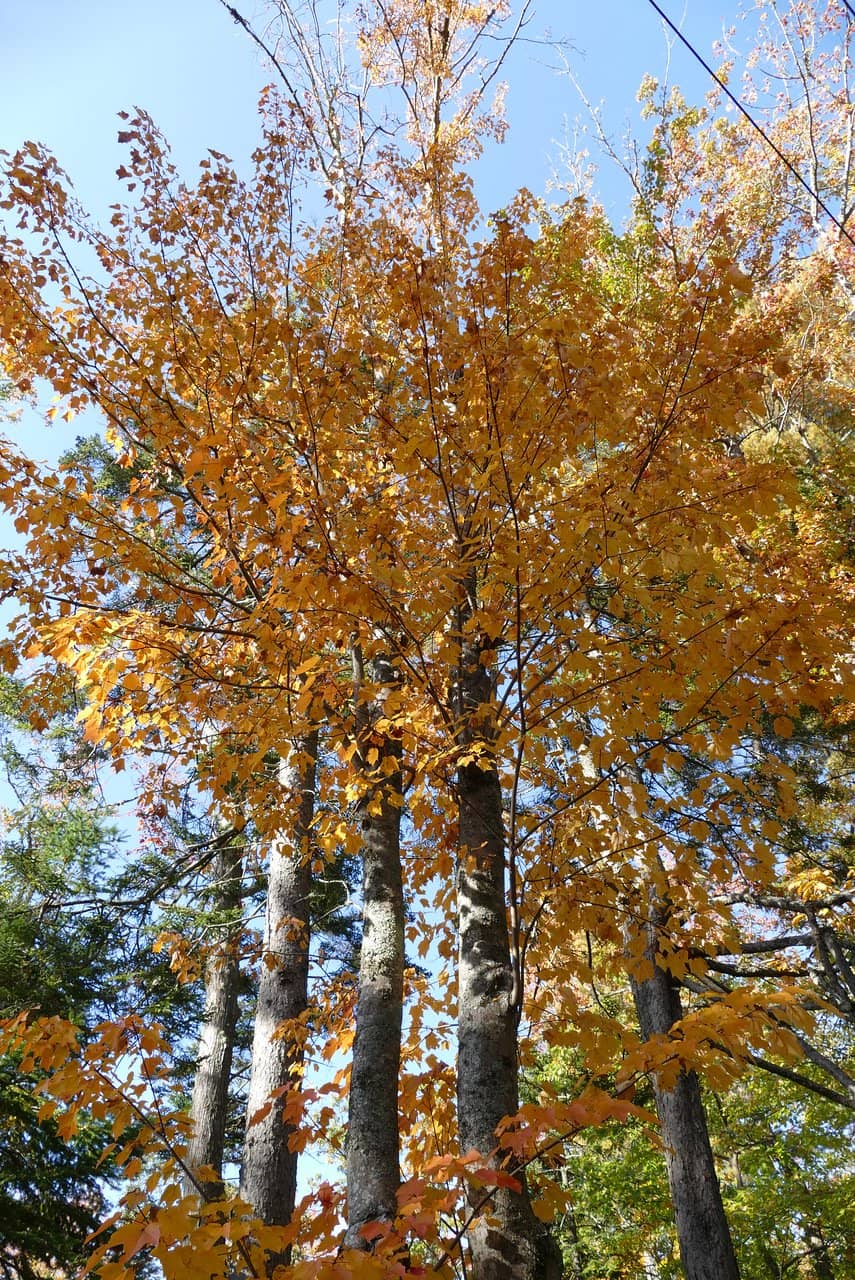 Refreshing Swimming Spot