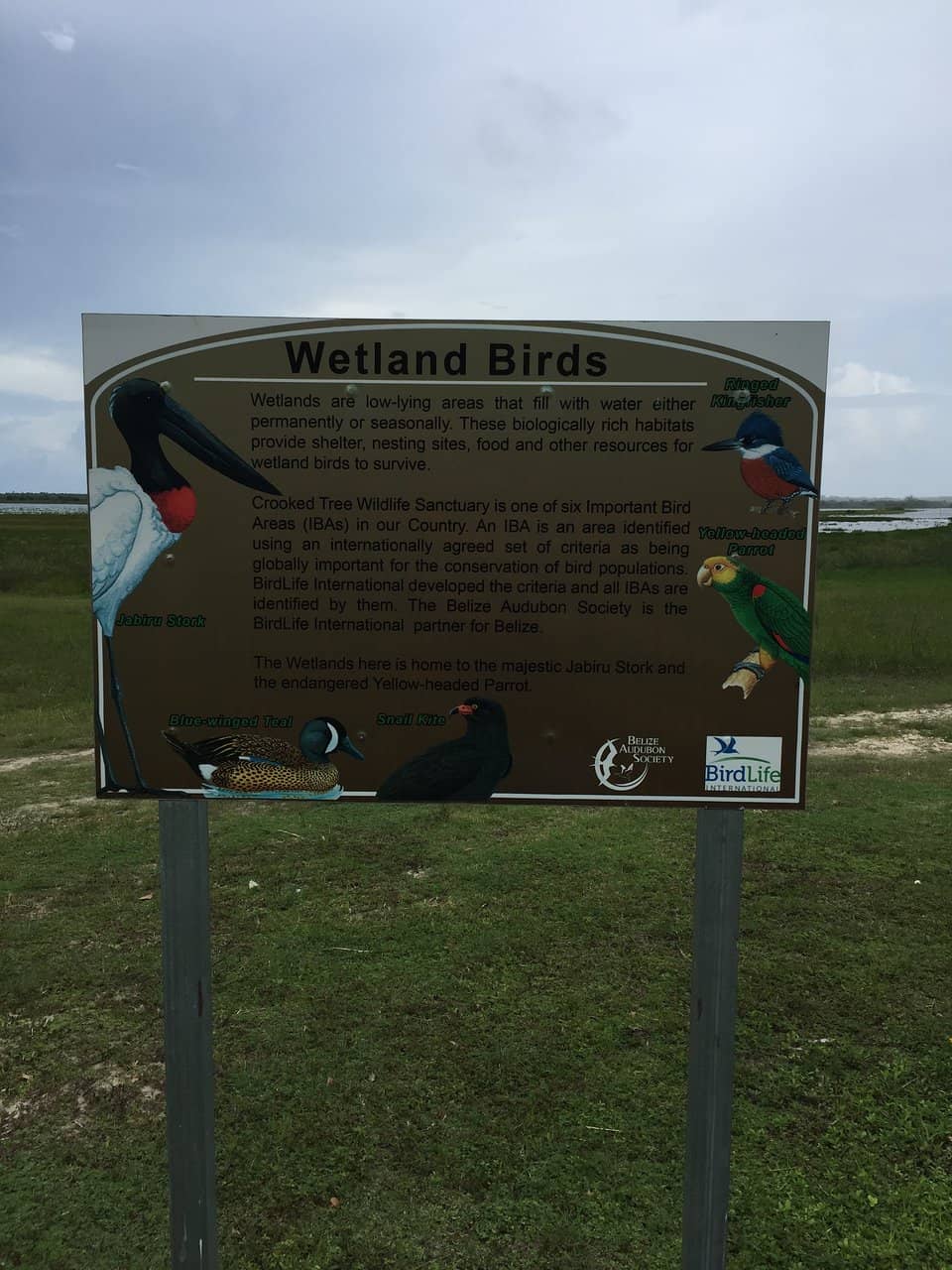 Nocturnal Wildlife Wonders