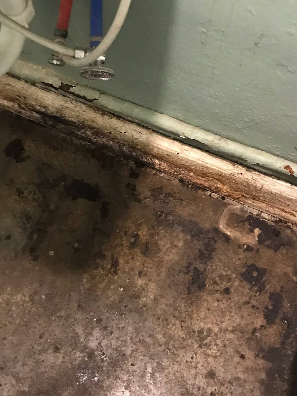 The Famous Dirty Tots