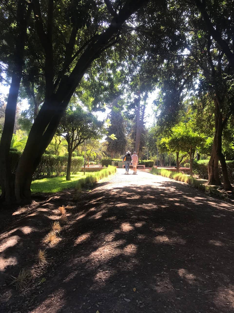 Lush Greenery & Sculpted Trees