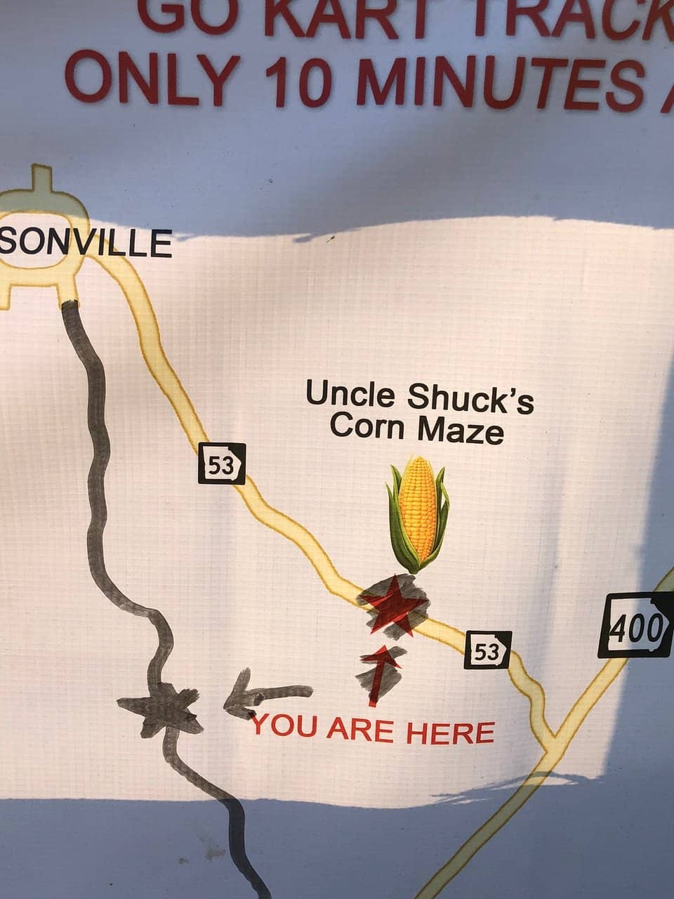 Picture-Perfect Fall Displays