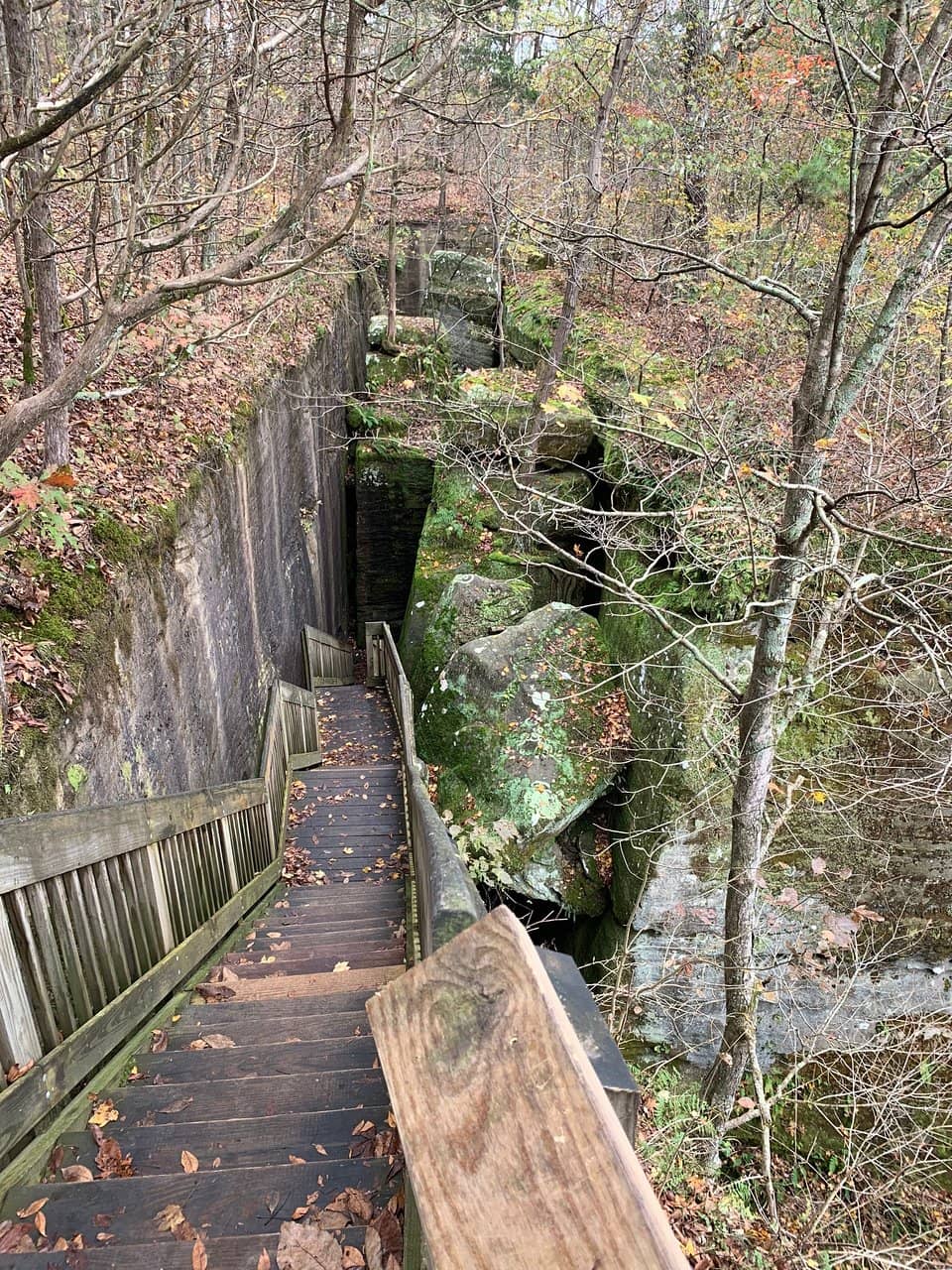 Ox Lot Cave & Blue Hole