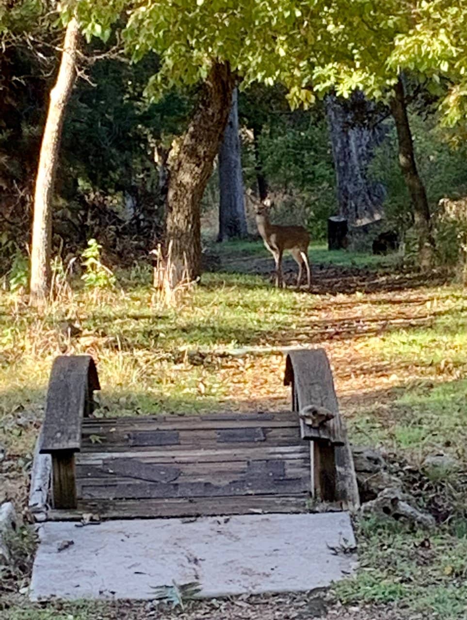 Golfing at Sun City Texas