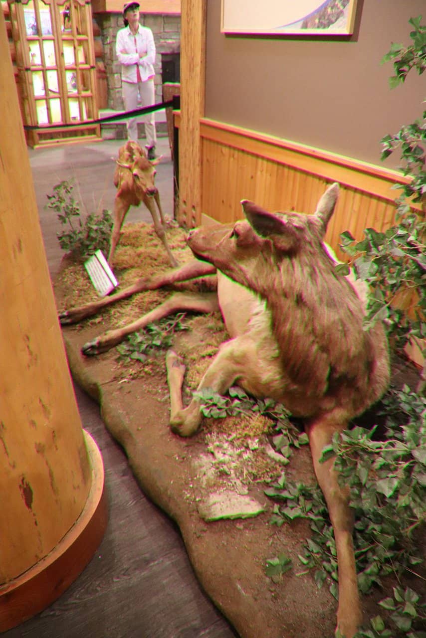 Interactive Exhibits