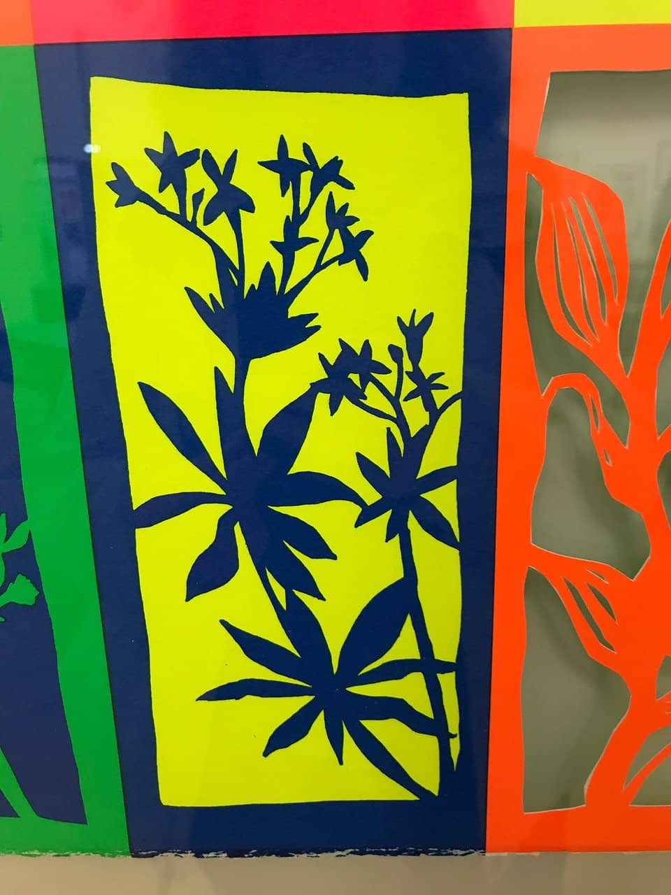 Brazilian Funk Exhibition