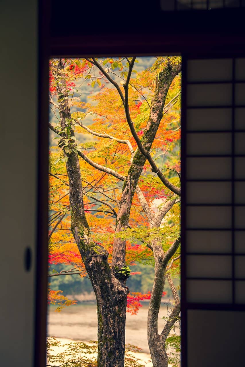 Thatched-Roof Building Overlooking the River