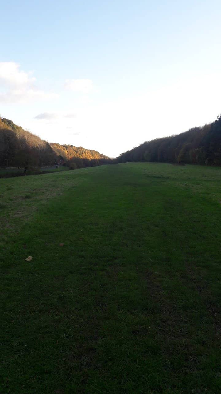 Woodland & Lakeside Trails