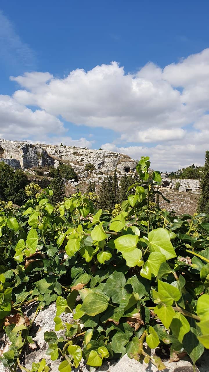 Historic City Center