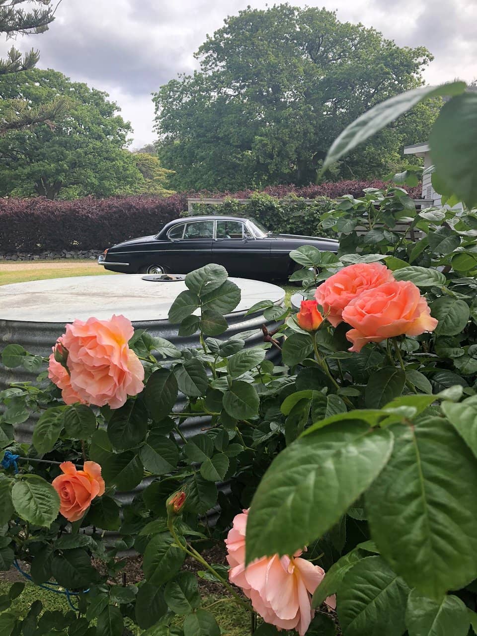 Personalized Host Experience