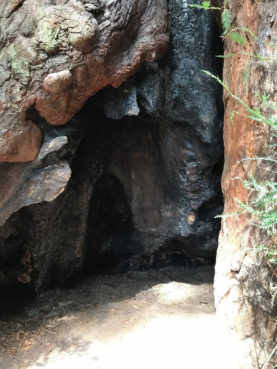 Vertical photo
