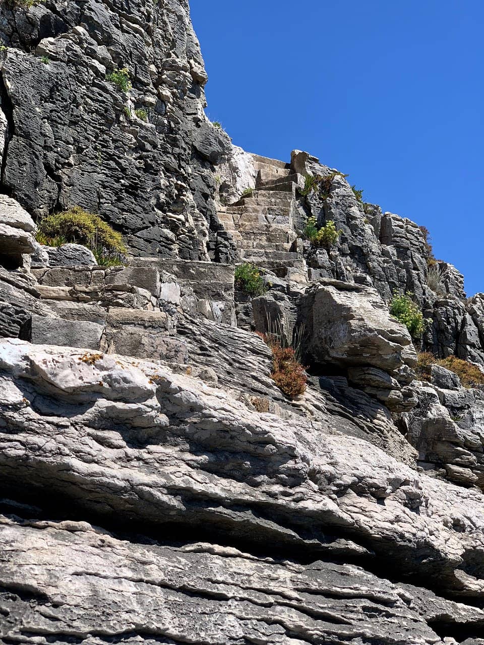 Fishing Steps and Viewing Areas