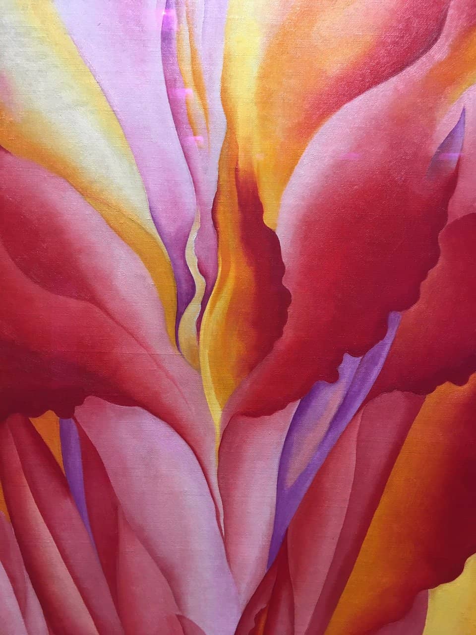 Campus Life & Architecture