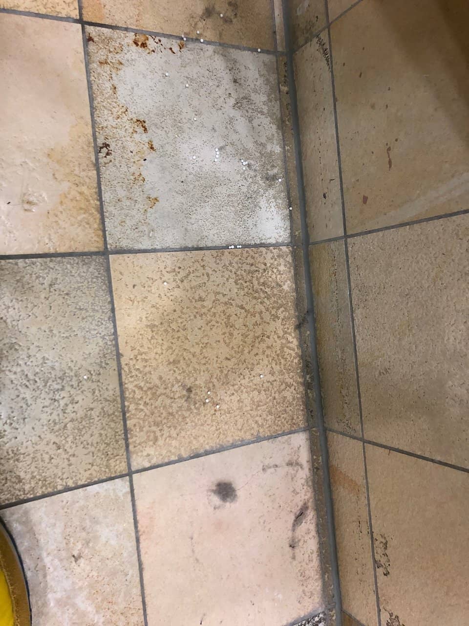 Tranquil Steam Rooms & Saunas