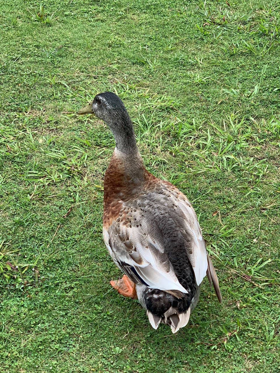 Montigo Resorts Nongsa