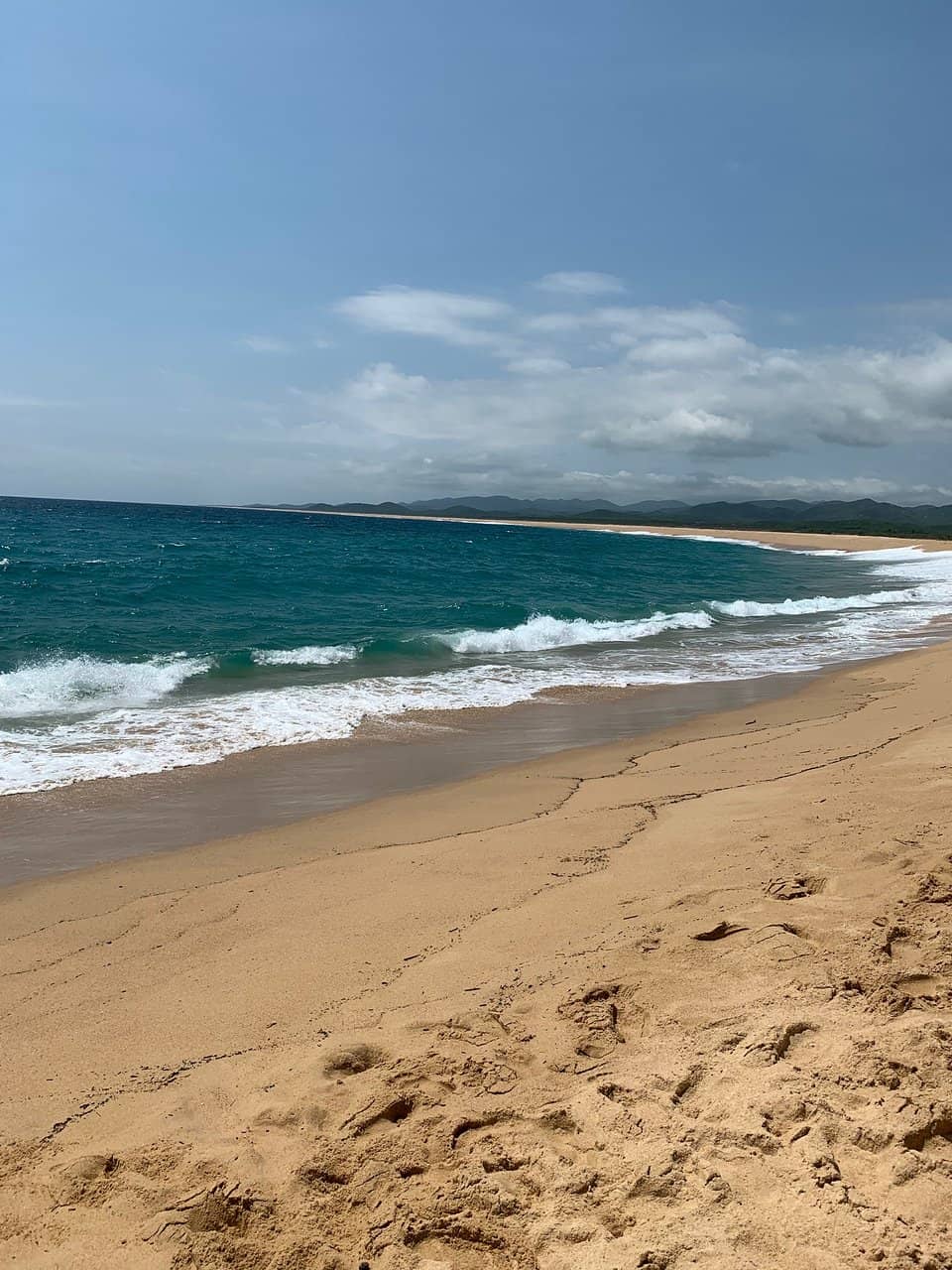 Sea Turtle Sanctuary