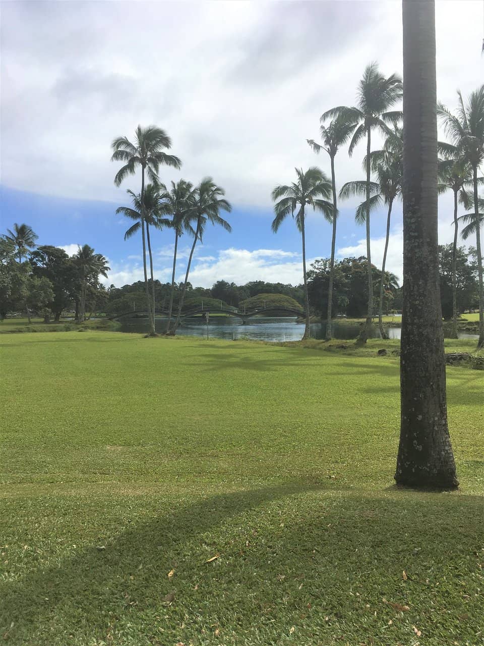 Japanese Gardens & Dragon Bridges
