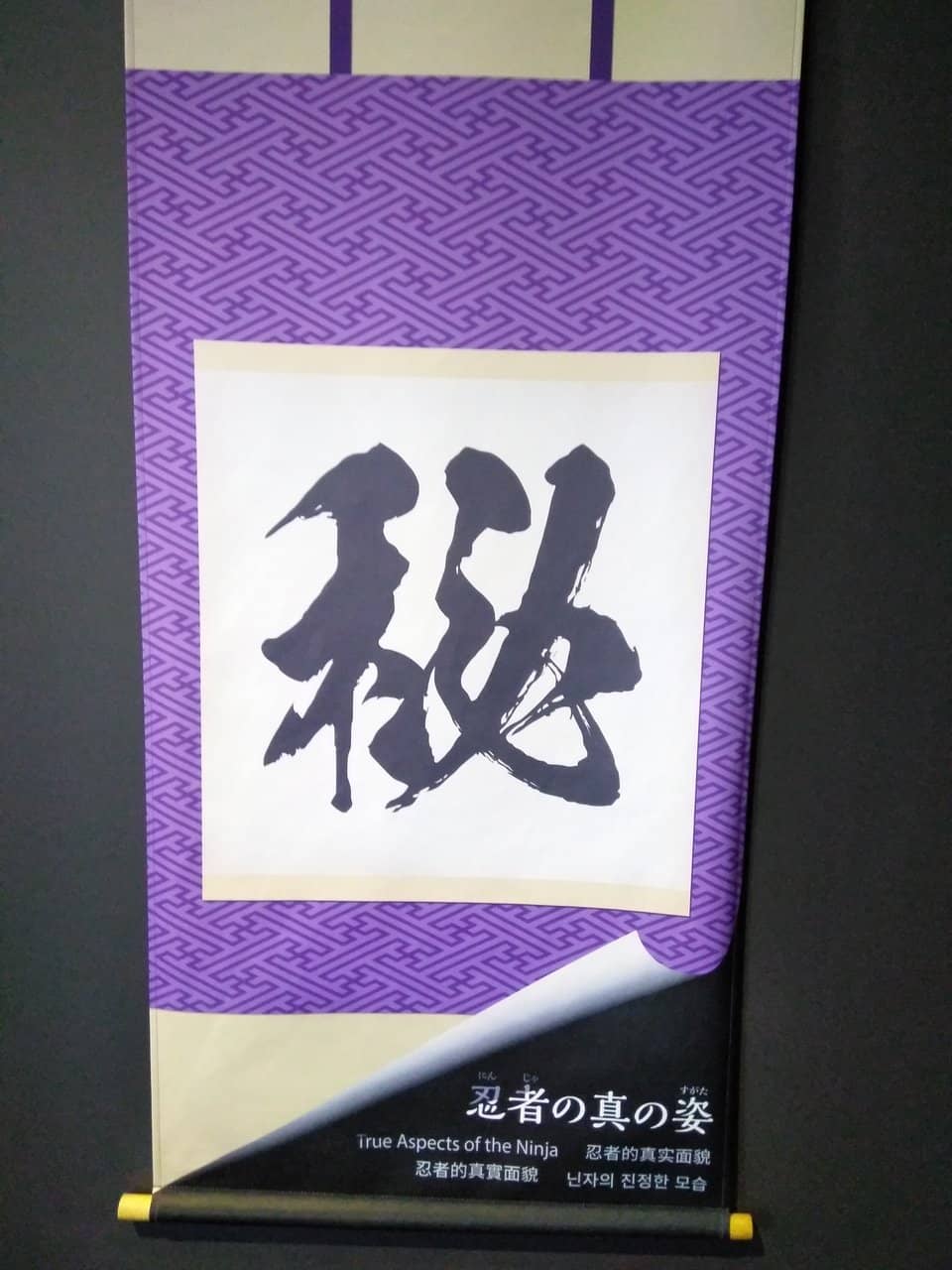 Shuriken Throwing Challenge