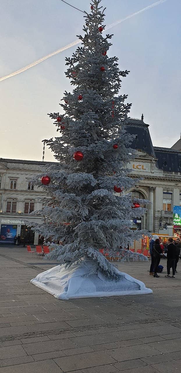 Local Produce Paradise