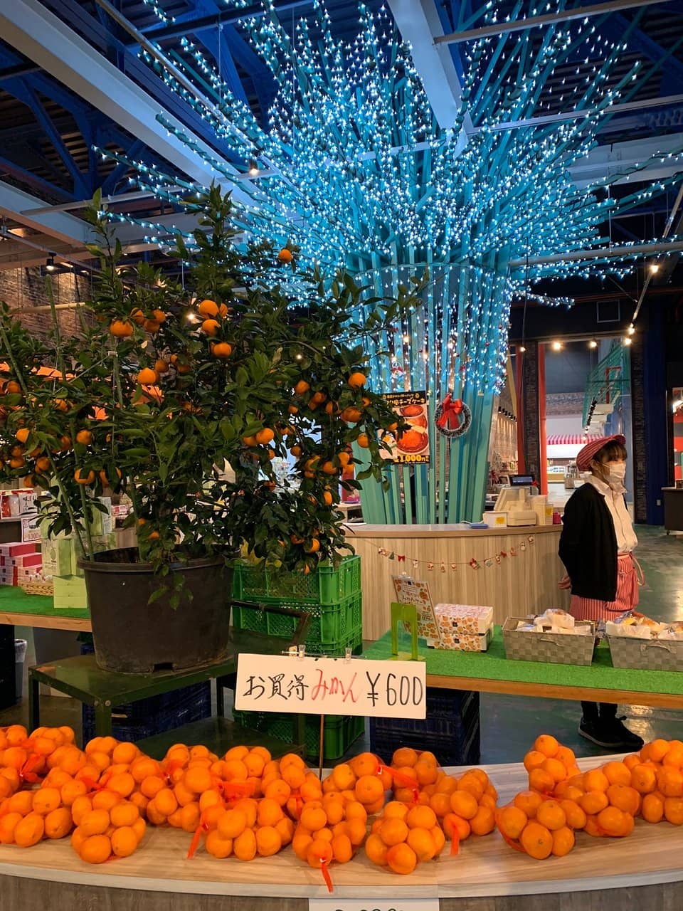 Panoramic Mt. Fuji Views