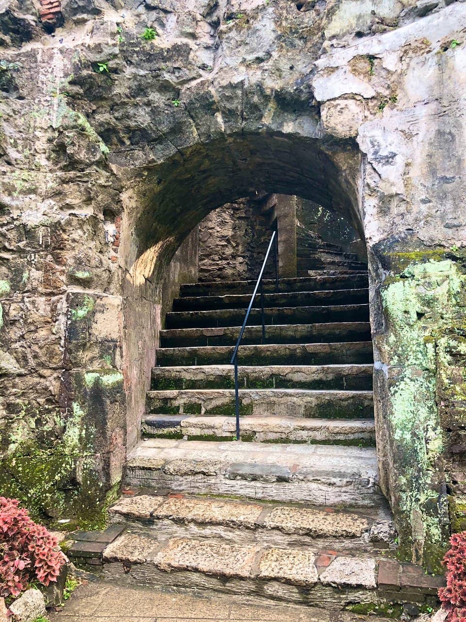 Tranquil Bonsai Gardens