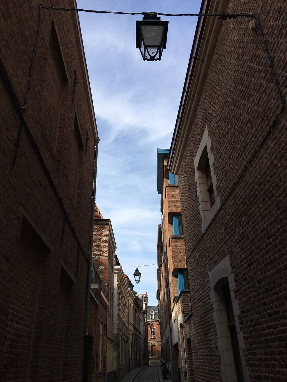 Gastronomic Delights