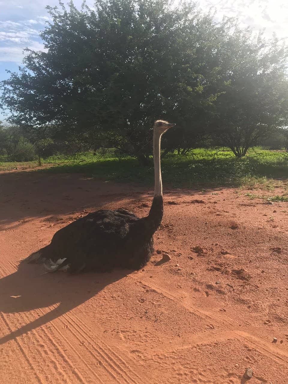 Picnic and BBQ Spots