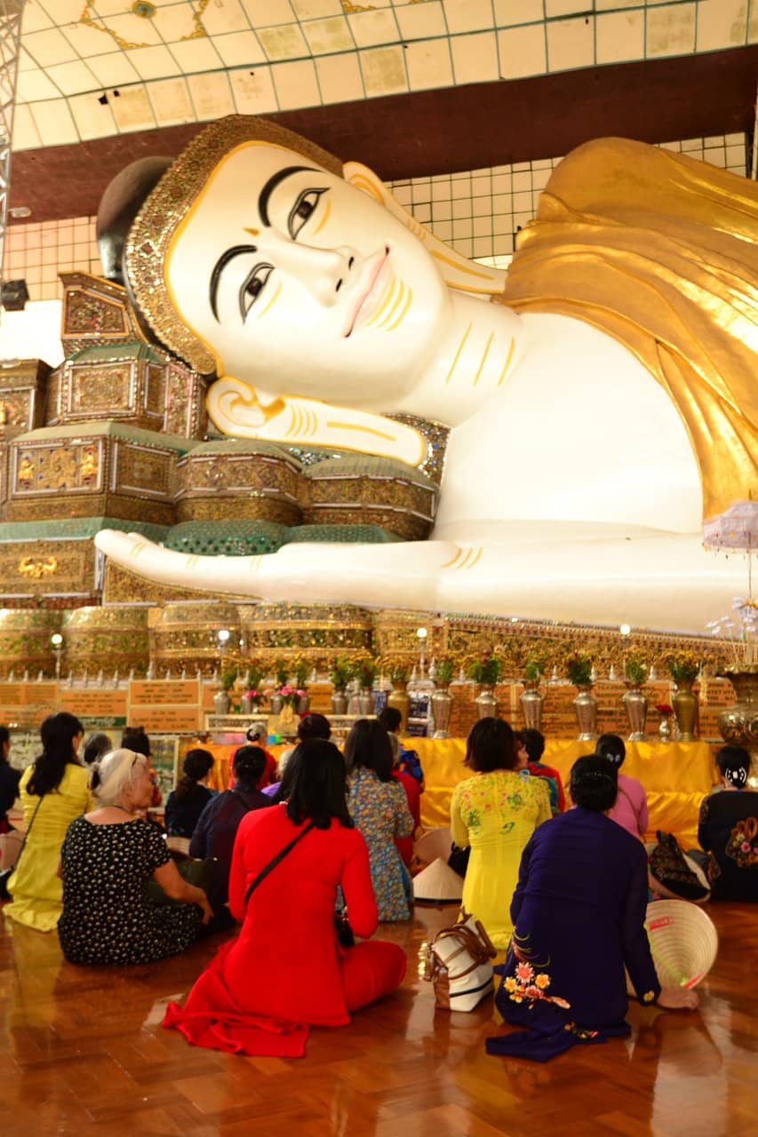 Expressive 'Sweet Eyes'