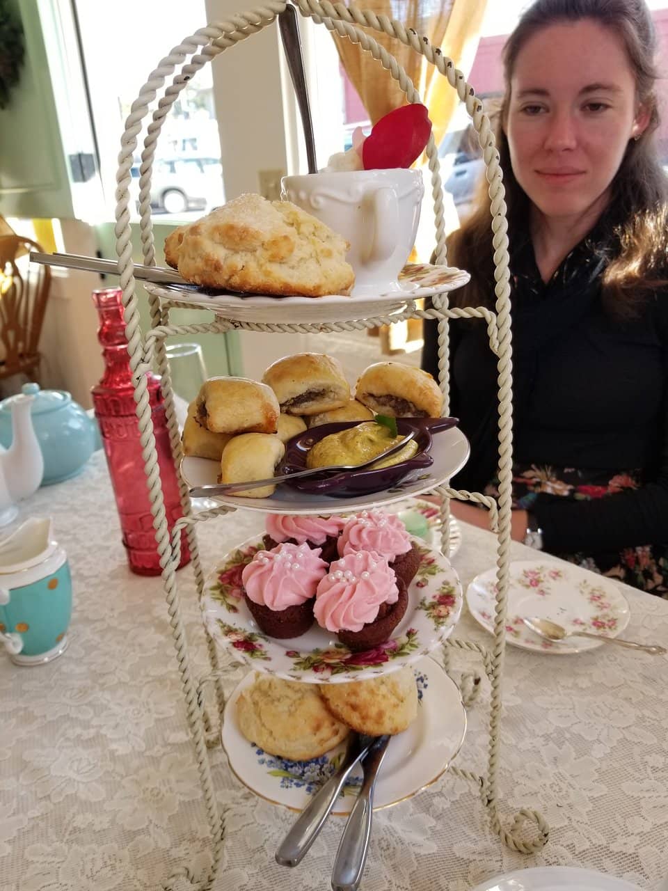 Forest Meets the Sea