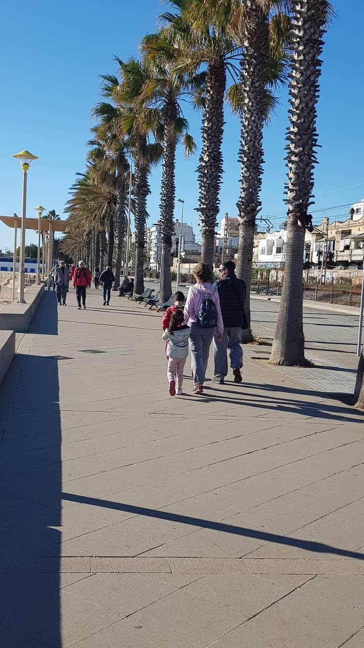 Tranquil Swimming Conditions