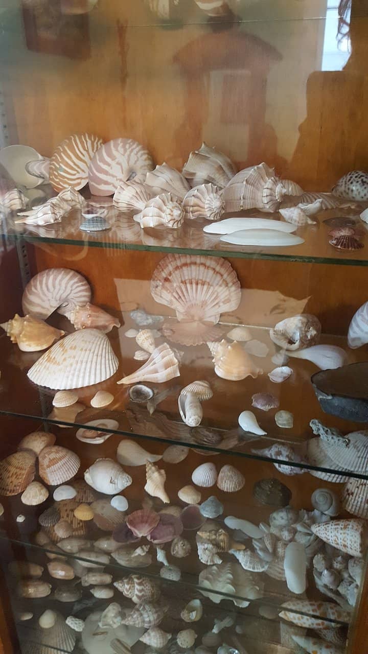 Historical Island Model