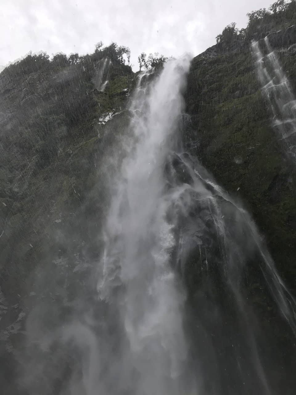 Milford Sound Cruise