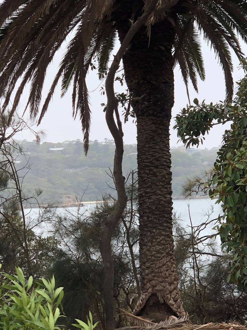 MacCallum Seawater Pool