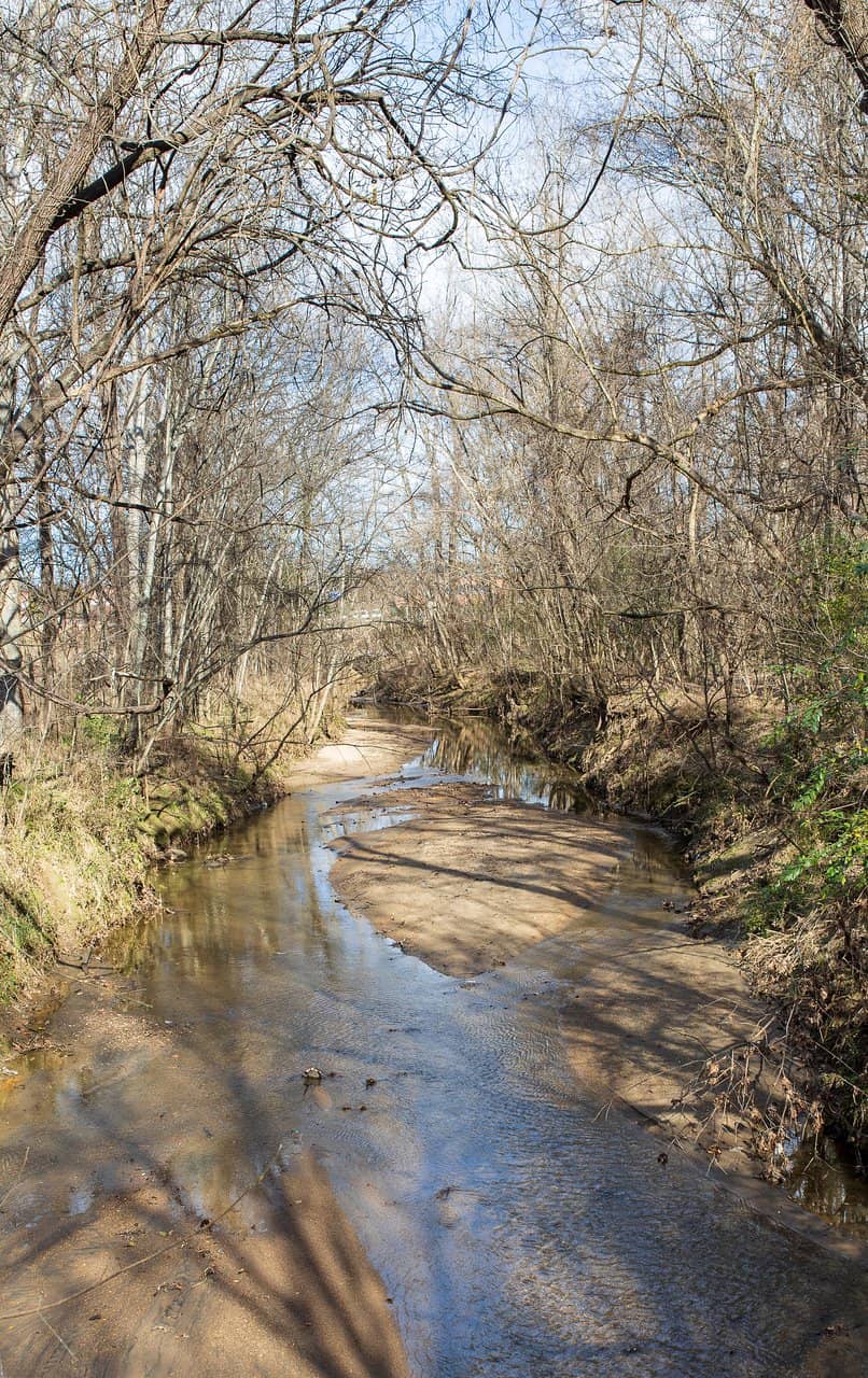 Family-Friendly Playground