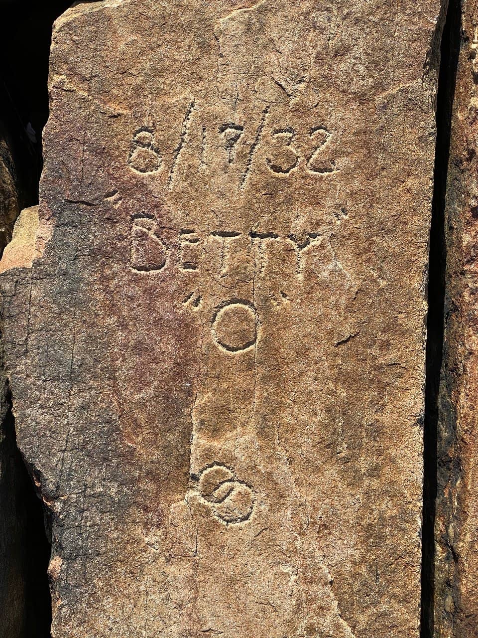 Birdwatching Opportunities