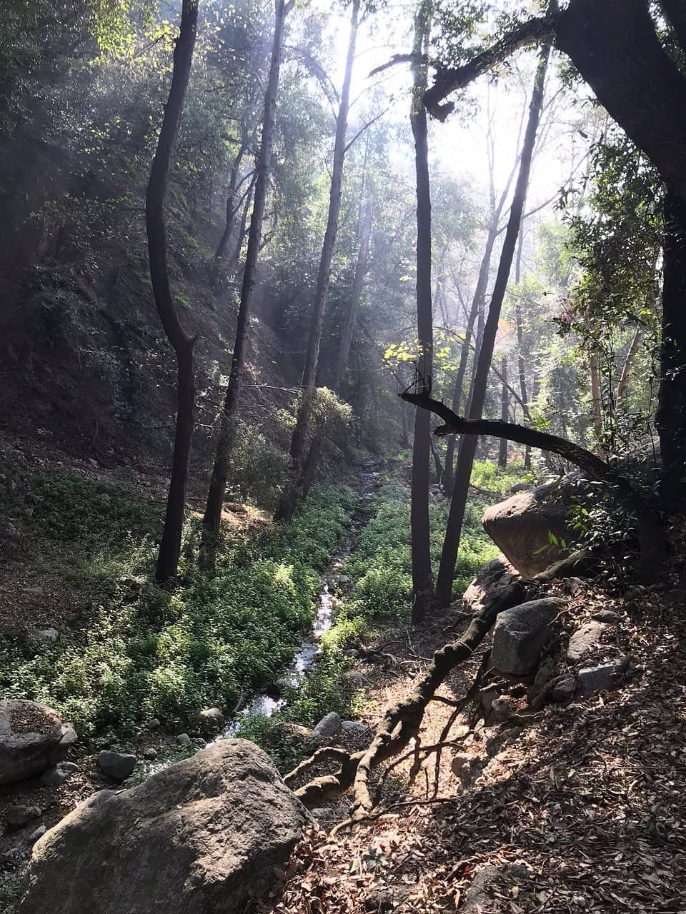 Monrovia Canyon Park Trails