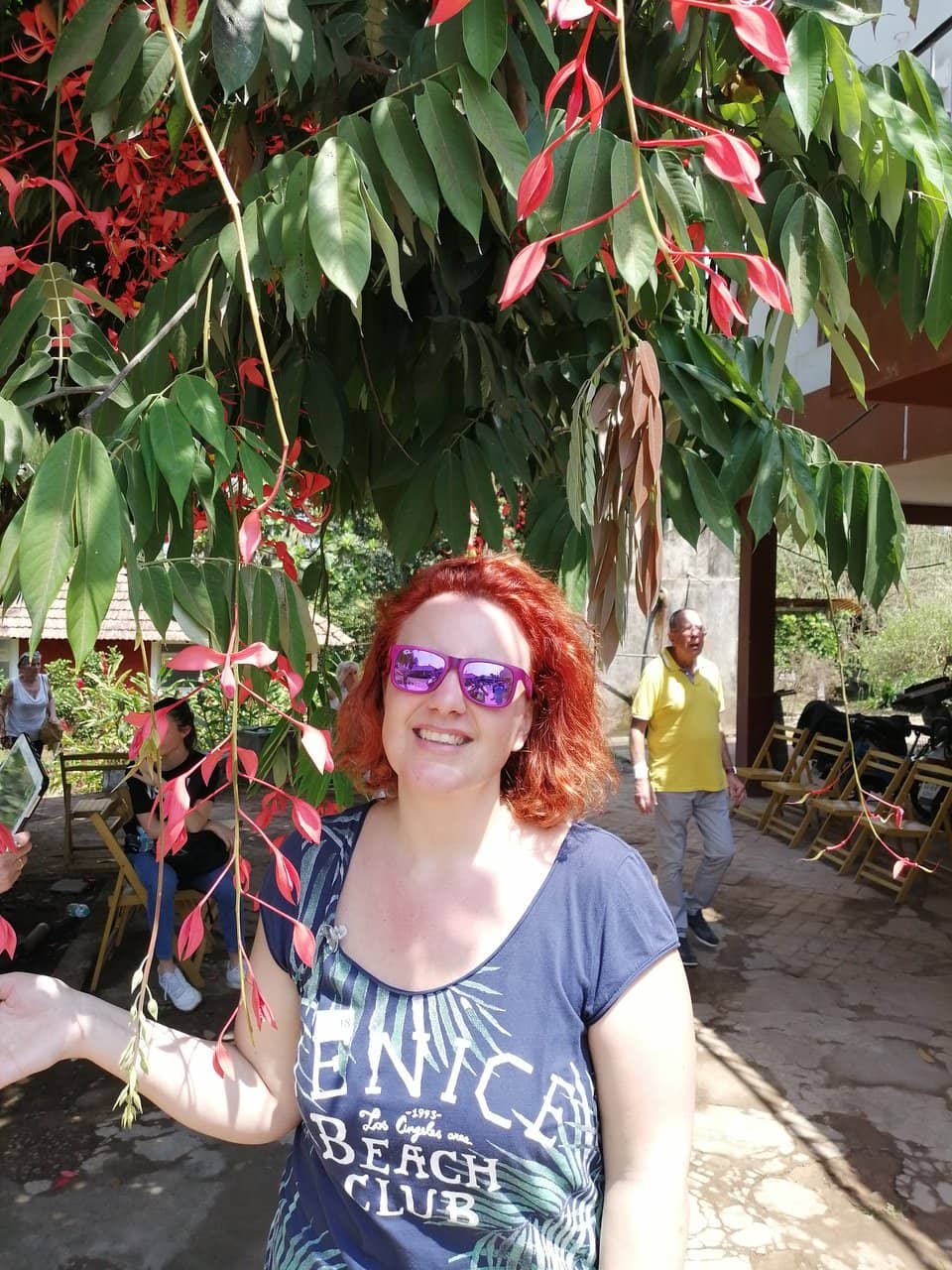 Miracle Fruit Experience