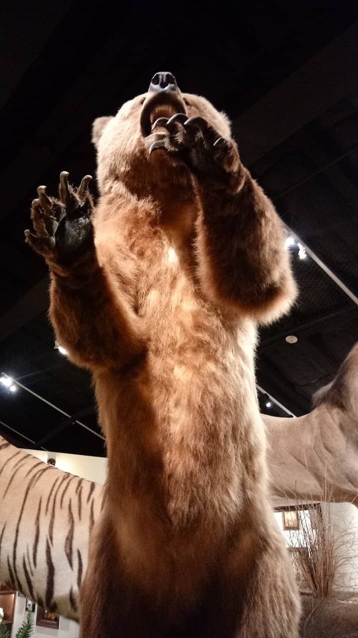 Texas Oil & Gas Industry