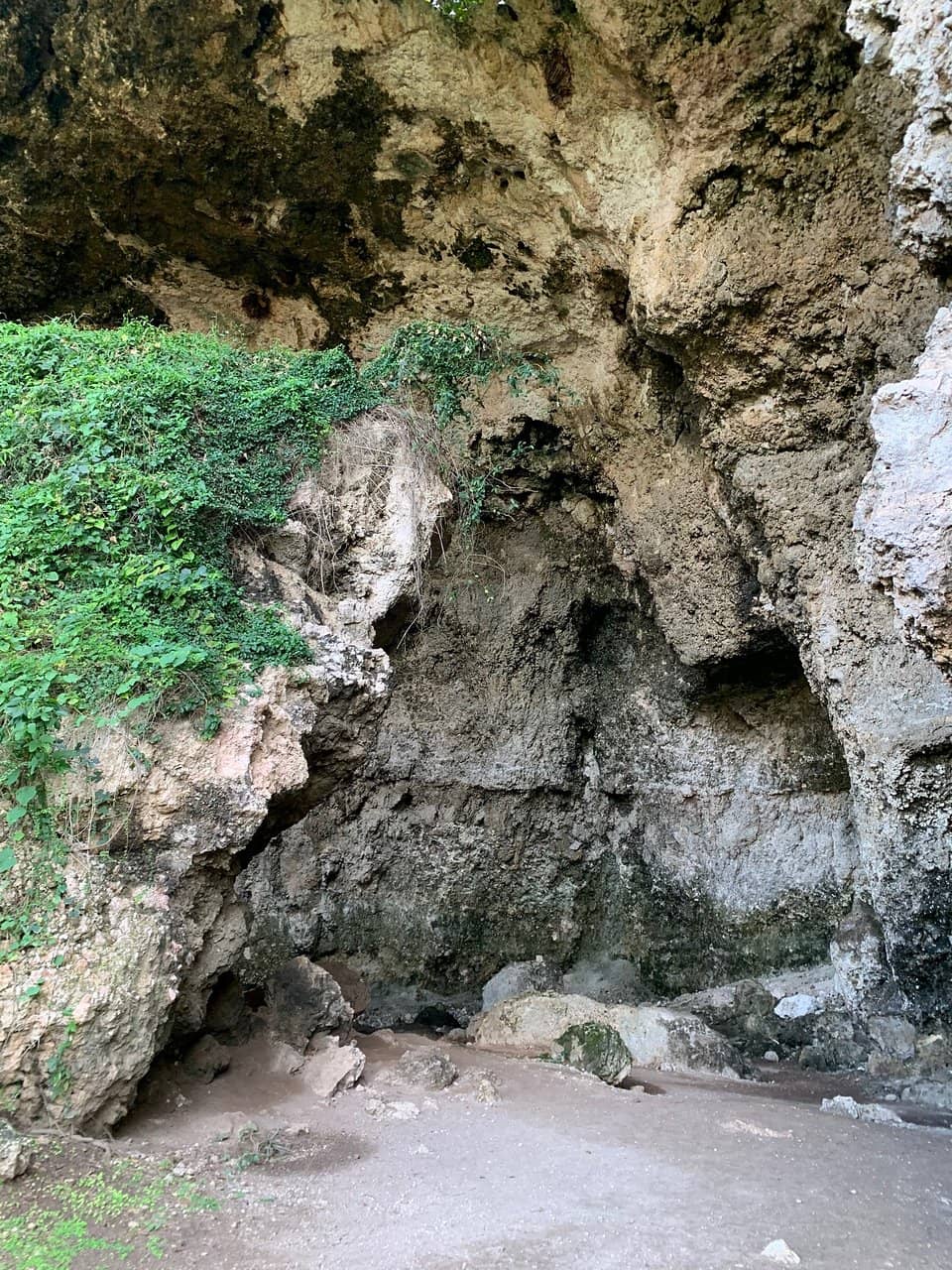 Taíno History Insights