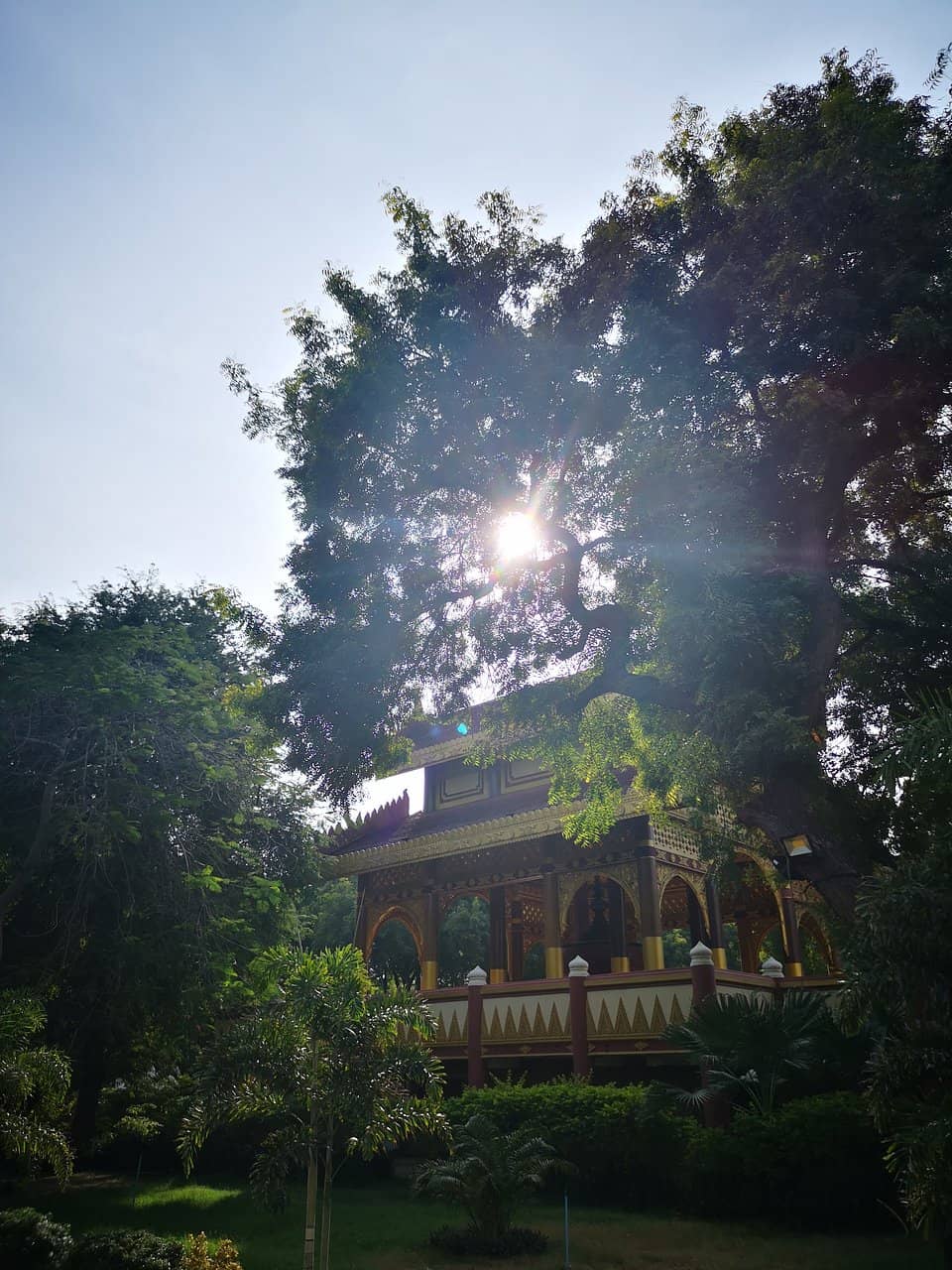 Vertical photo