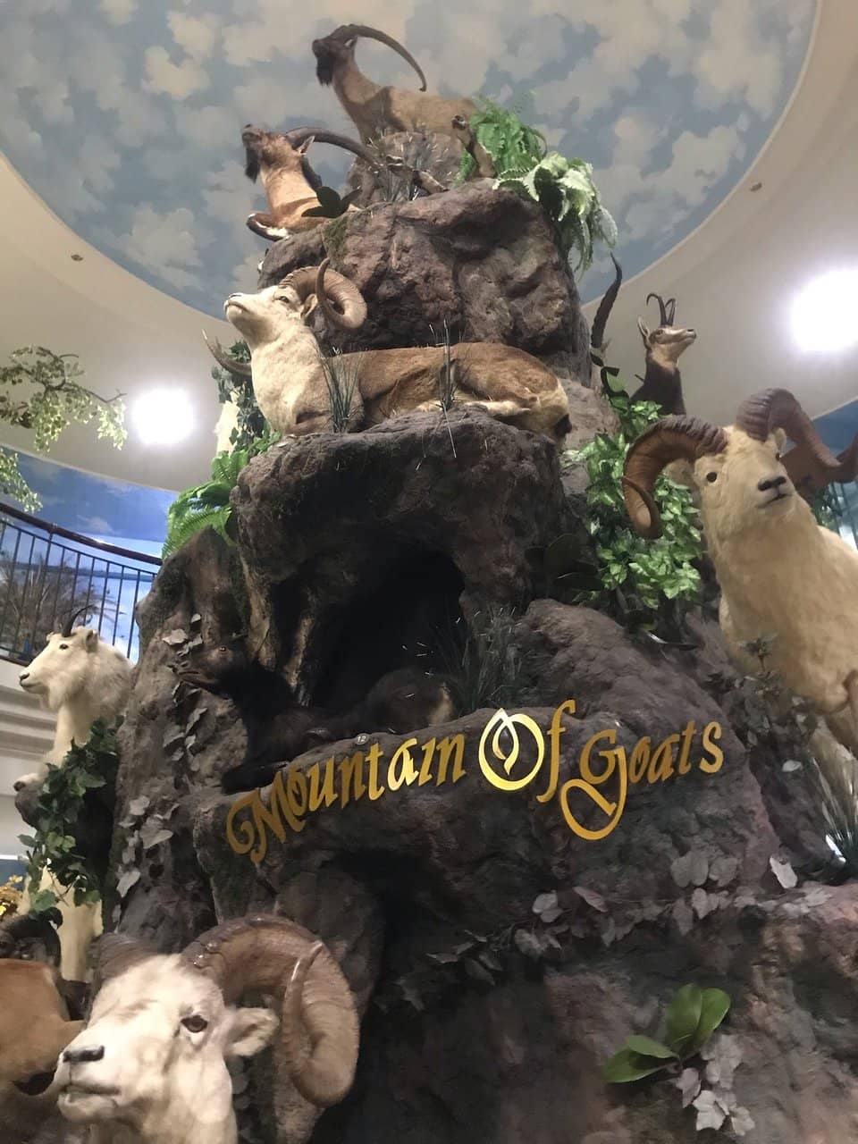 Extensive Wildlife Collection