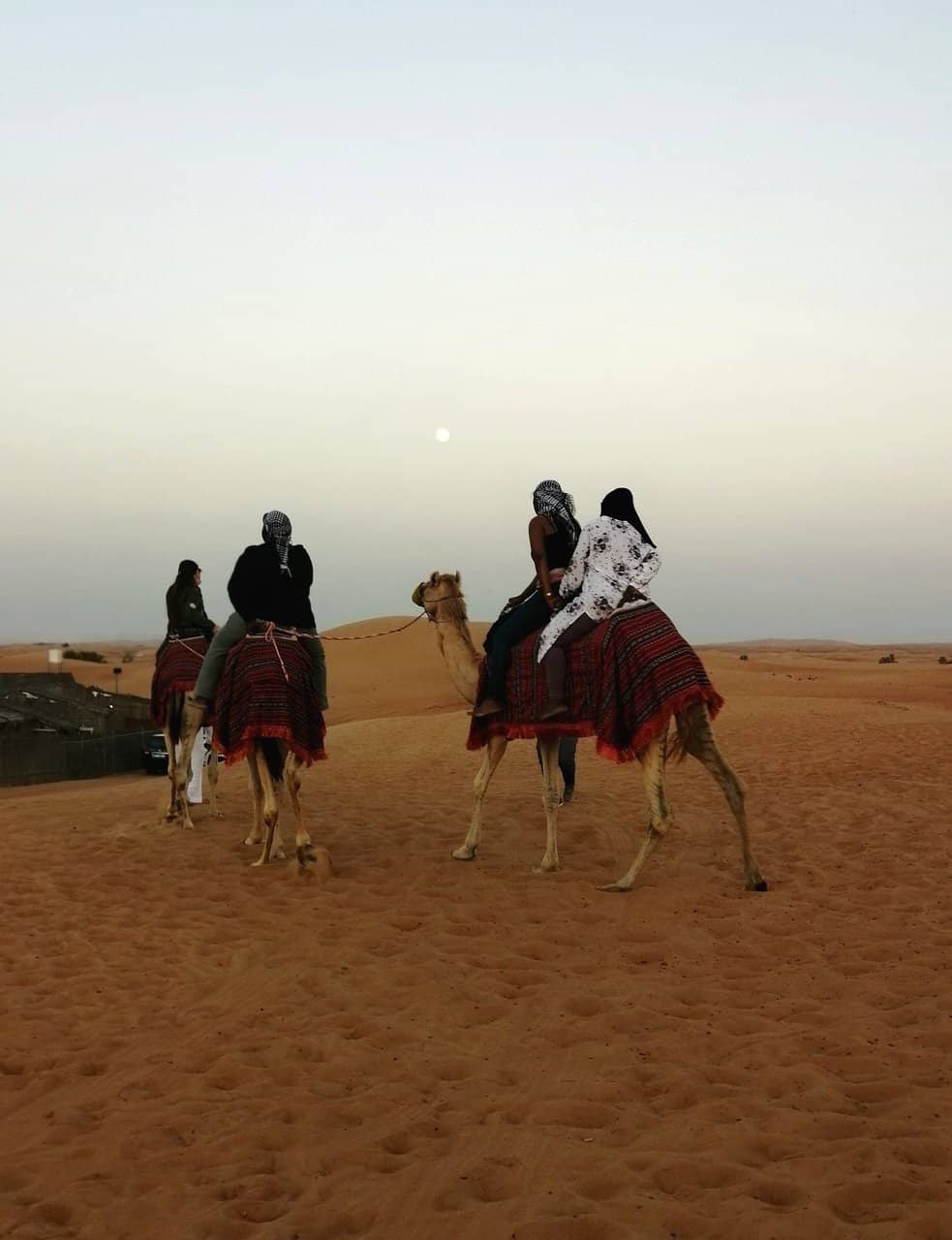 Quad Biking & Dune Buggy Rides