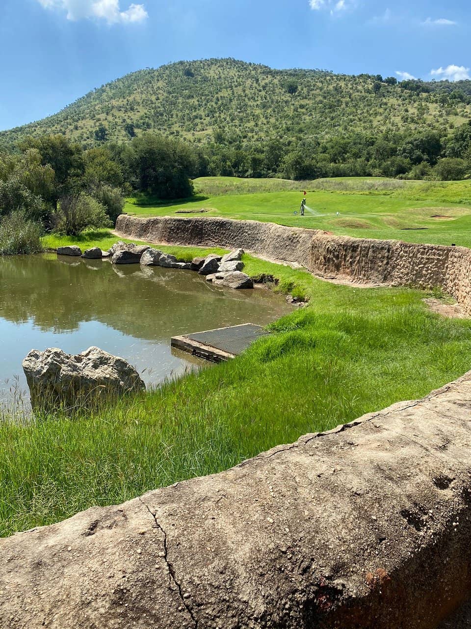Spectacular Bushveld Views
