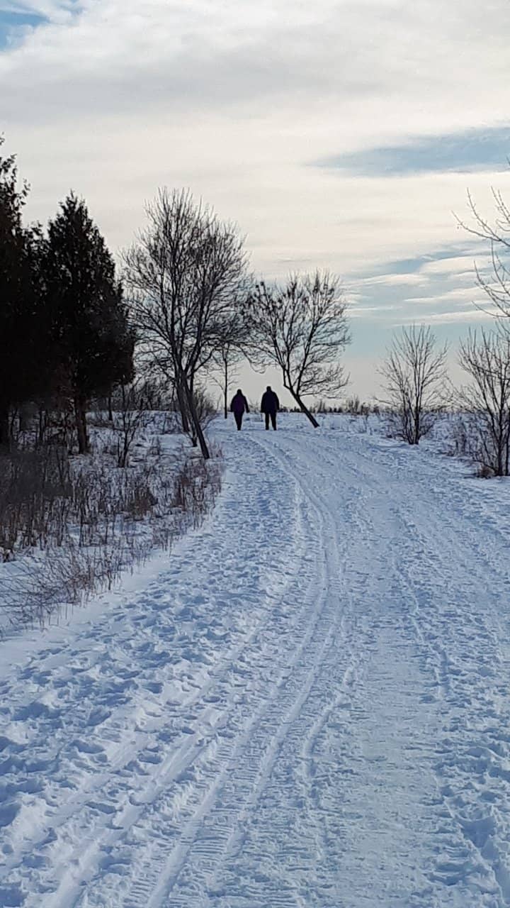 Forest and Field Paths