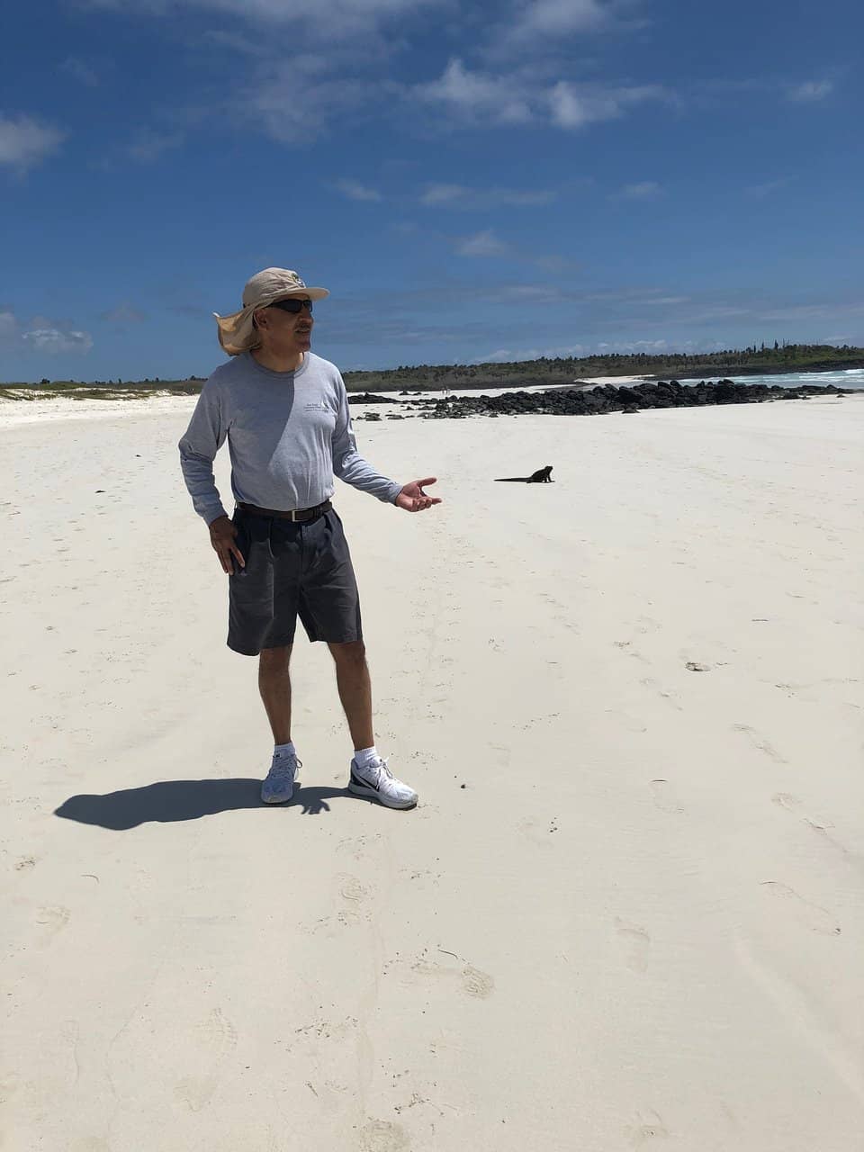 Marine Iguana Gathering