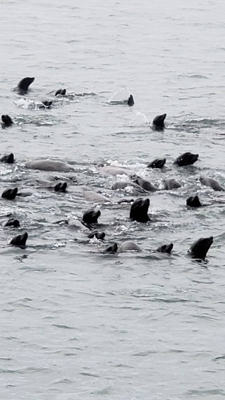 Ocean Views & Lighthouse