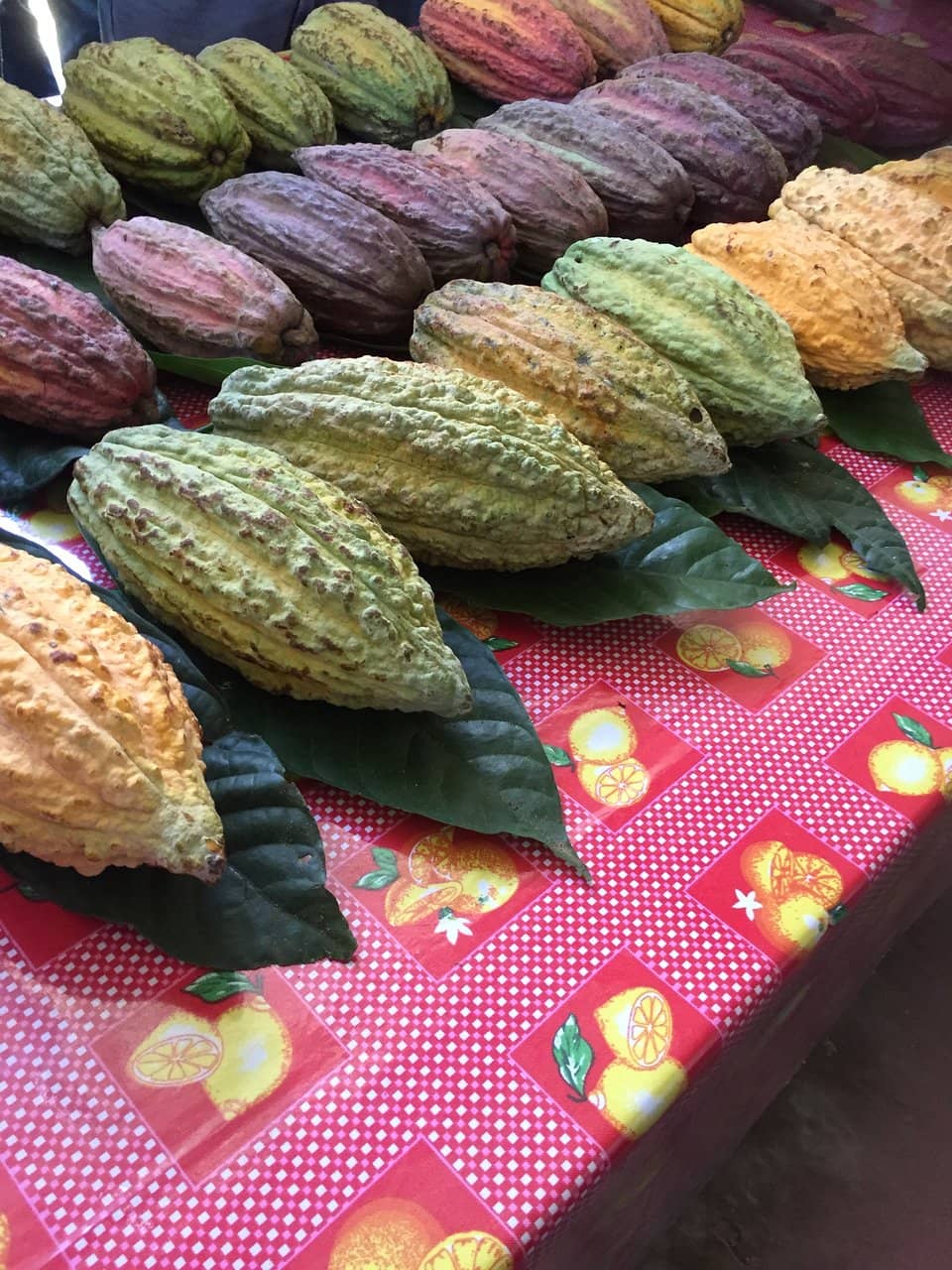 Chocolate Making Process