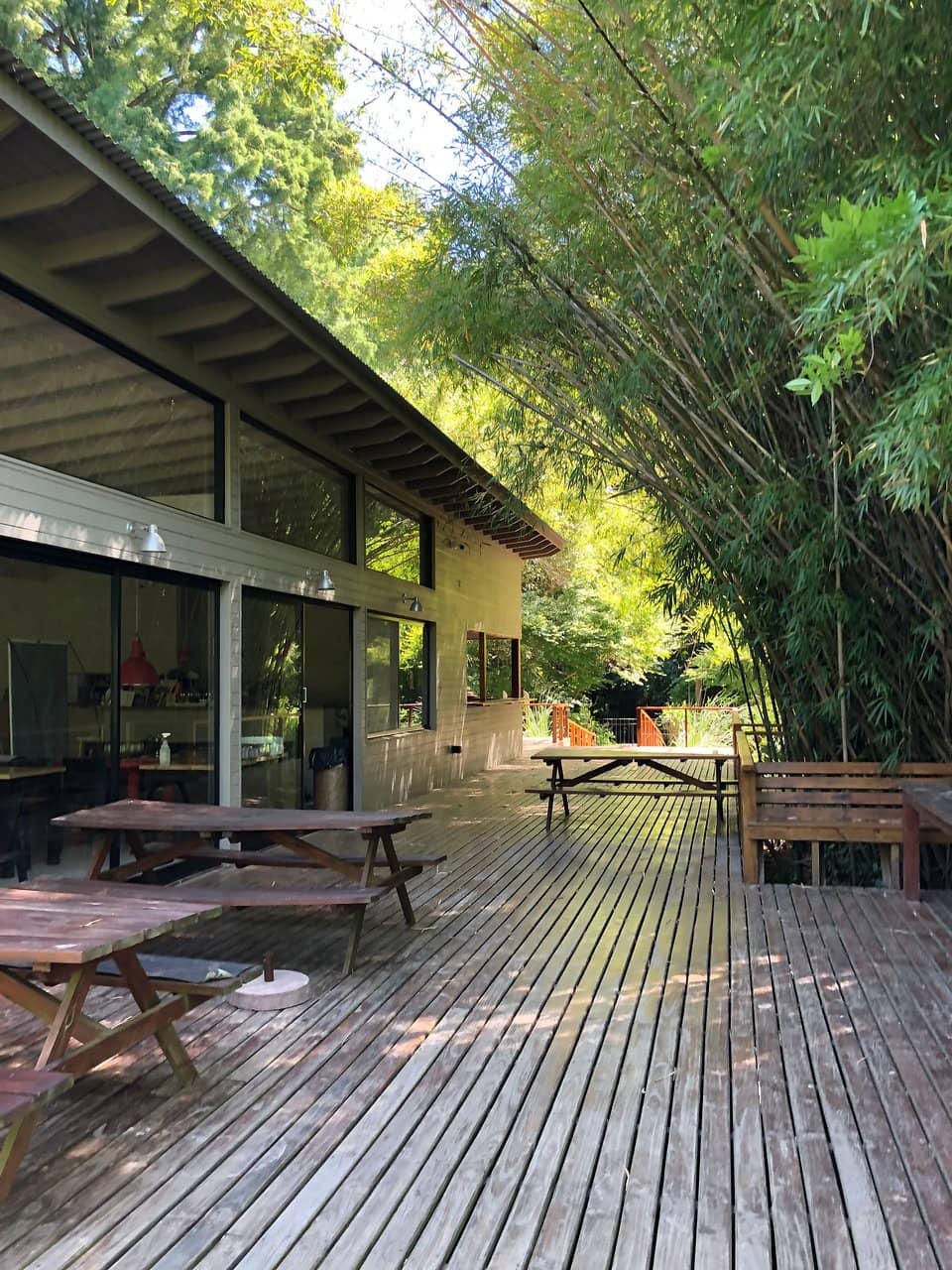 Encountering Local Wildlife