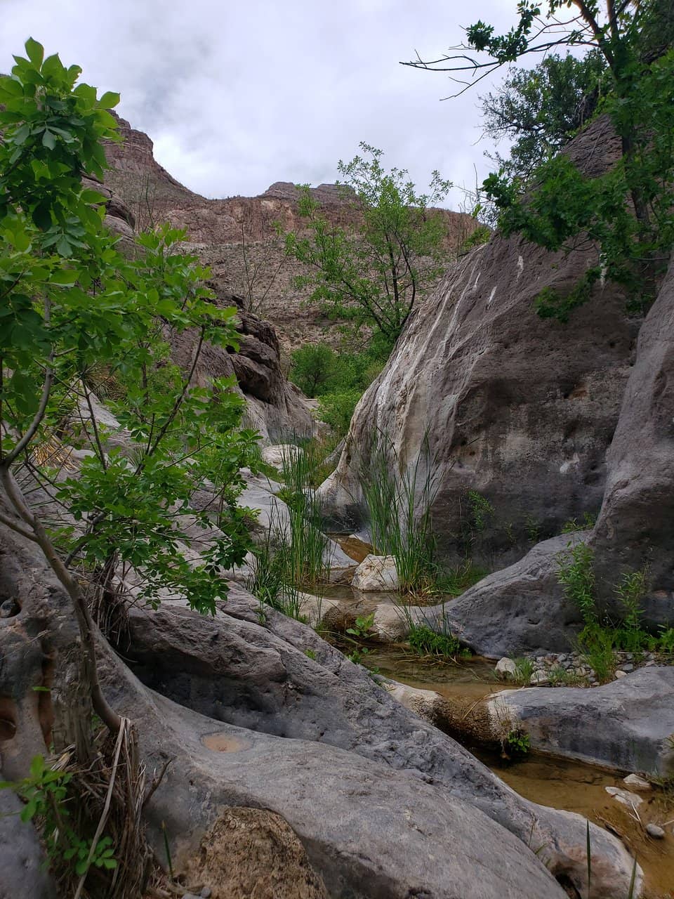 Vertical photo
