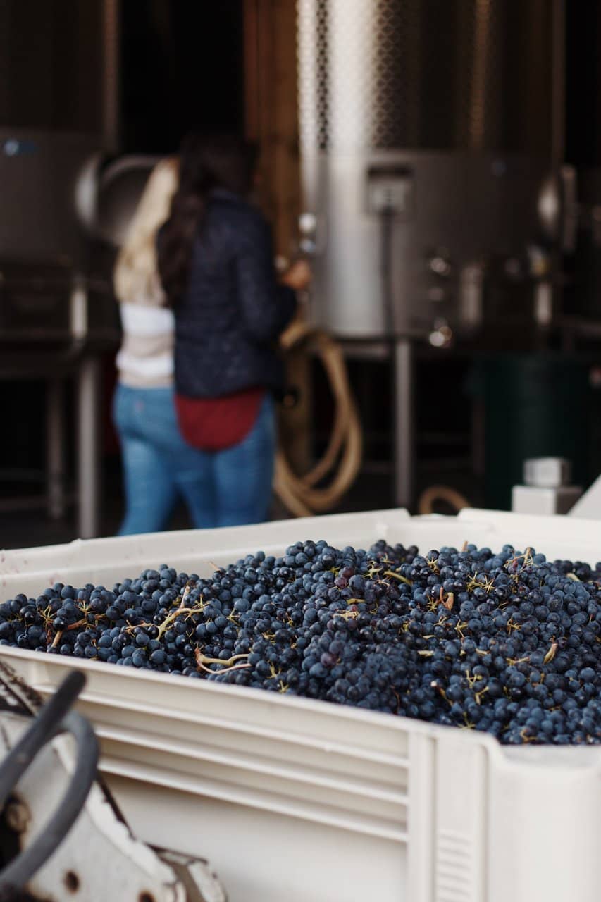 Repurposed Hangar Tasting Room